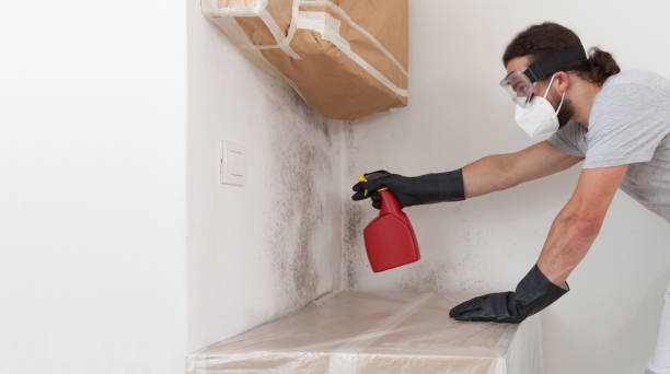Professional Bathroom Mold Removal technician working in Harbert, MI