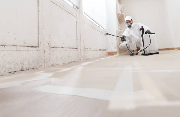 24/7 Emergency Bathroom Mold Removal experts in Harbert, MI